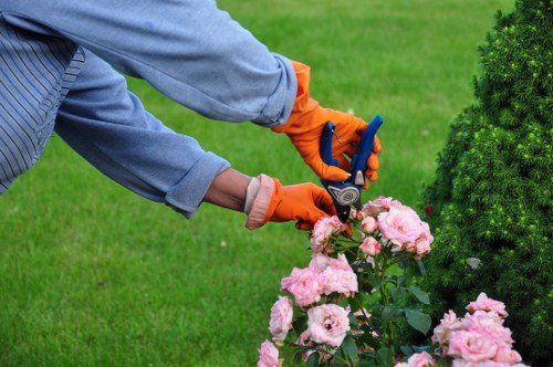Hedge trimming and maintenance in a Thamesmead estate garden