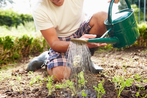 Specialized plant care in Thamesmead gardens