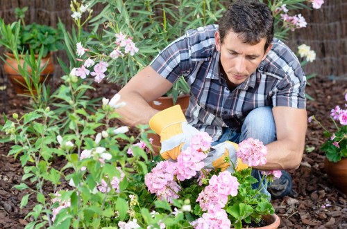 Eco-friendly gardening practices in Thamesmead